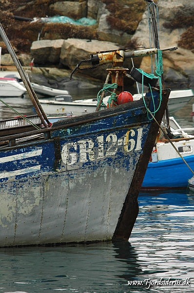 DSC_0767.JPG