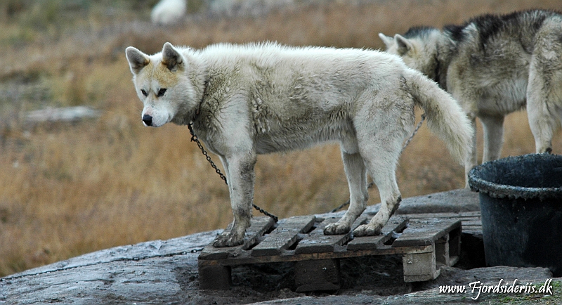DSC_0768.JPG
