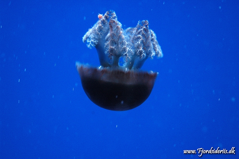 DSC_6379.JPG