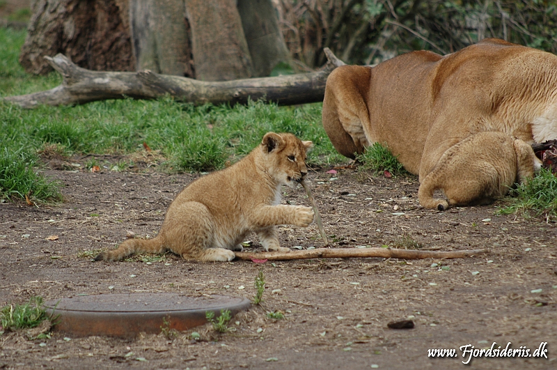 DSC_9371.JPG