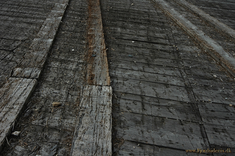 DSC_2501.JPG