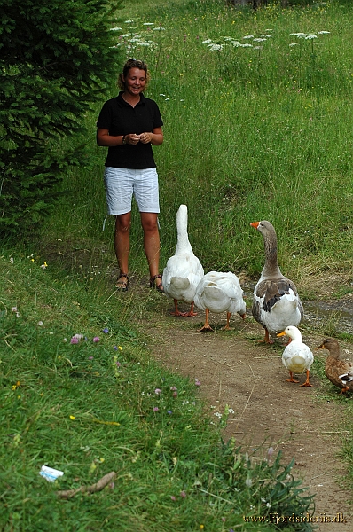 DSC_2992.JPG