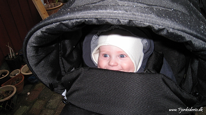 IMG_2008.JPG