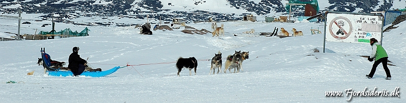 DSC_4195.JPG - Ja kom så......